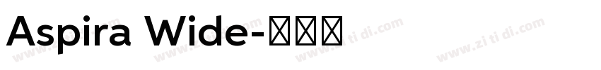 Aspira Wide字体转换